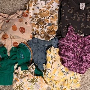 Baby girl clothing bundle